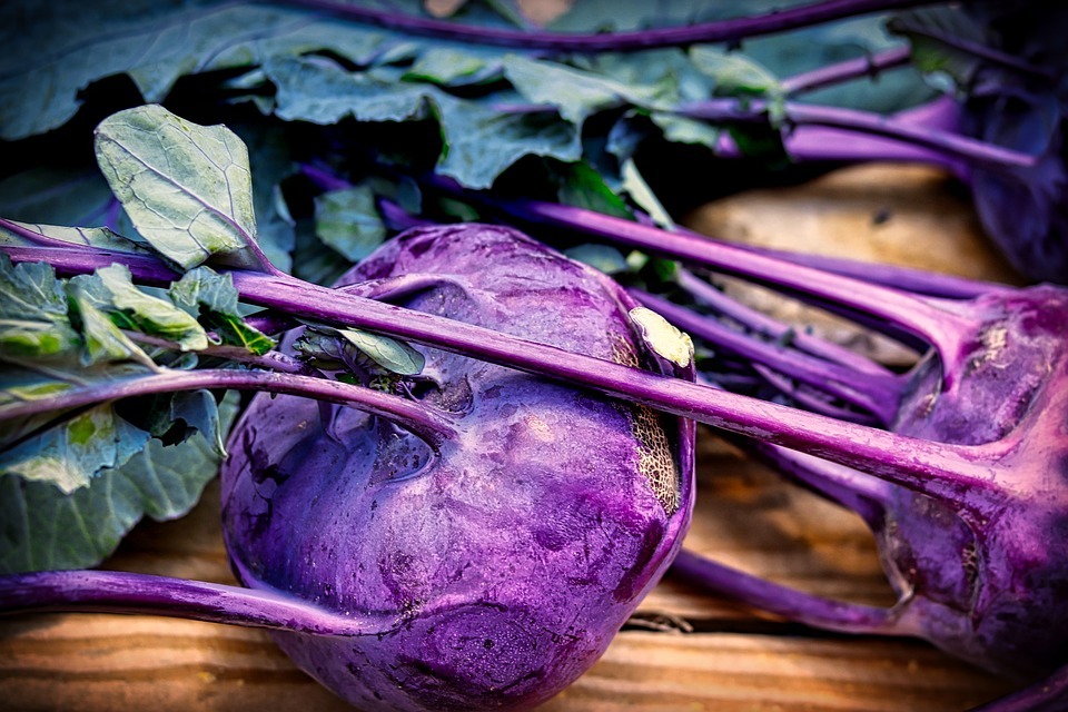 fresh kohlrabi