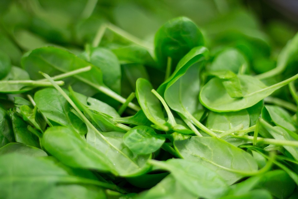 fresh and healthy spinach