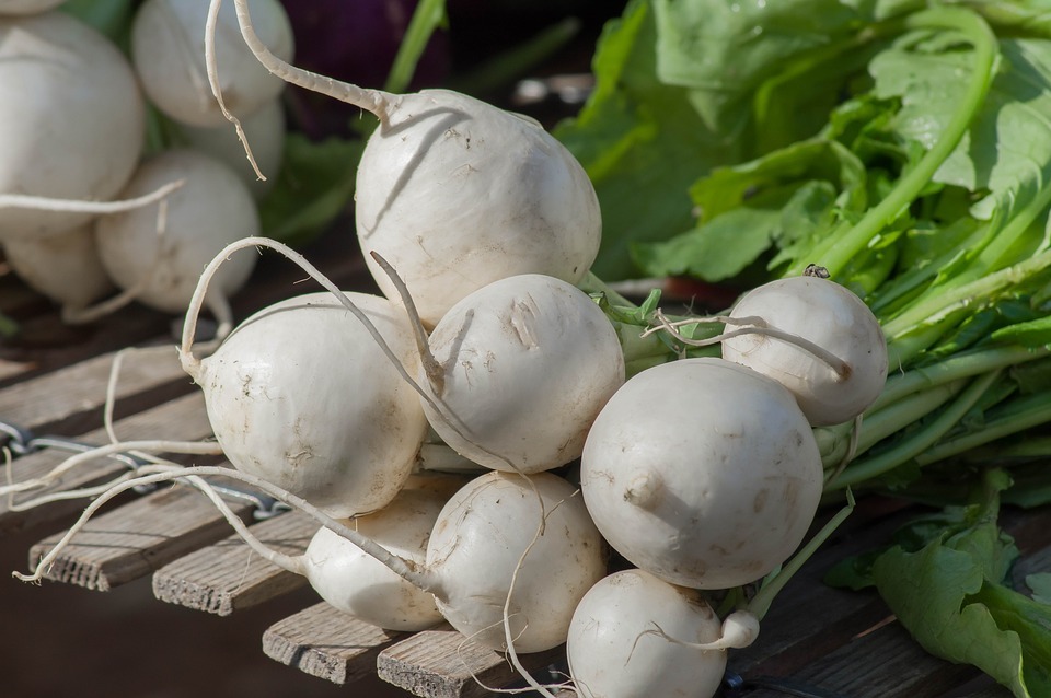 a bunch of turnips