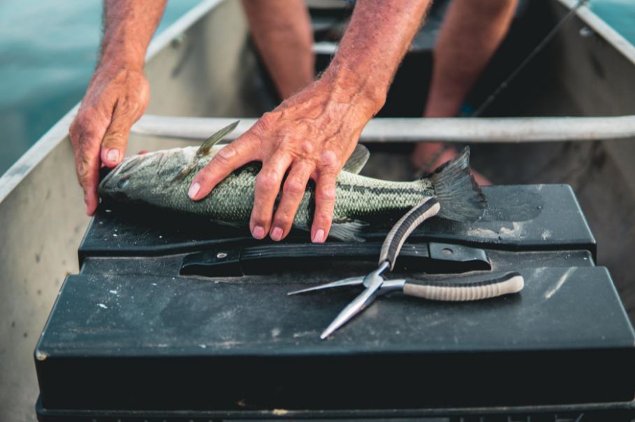 a man holding a gray fish on a black box