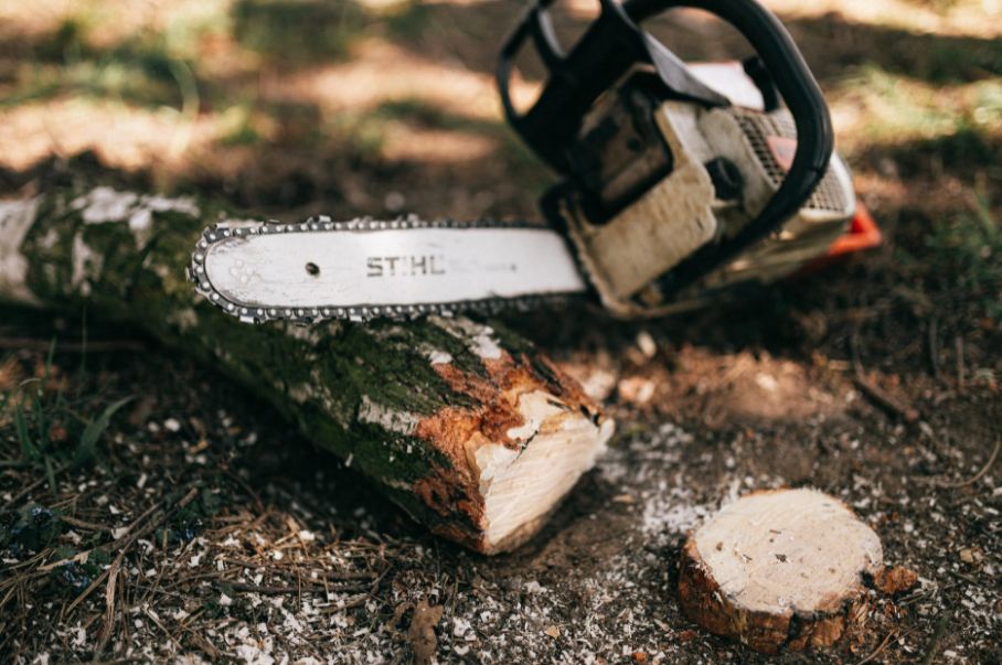 a picture of a saw machine placed on a cut wood log