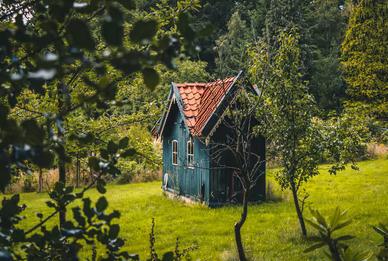 Excellent Mental and Physical Health