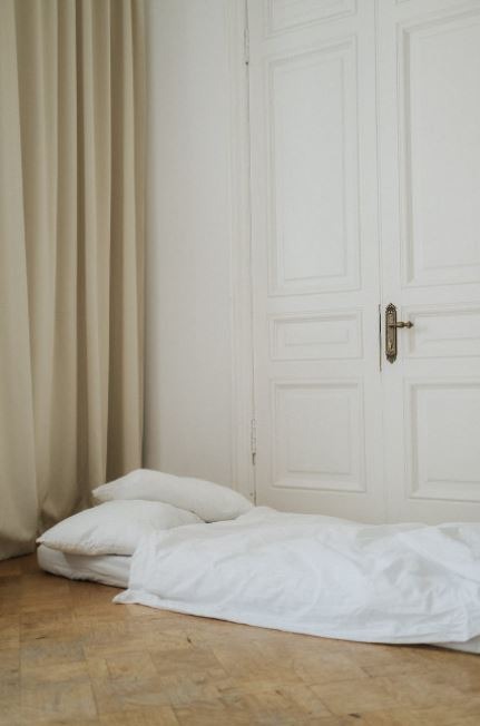 Futon or Pull out Couch