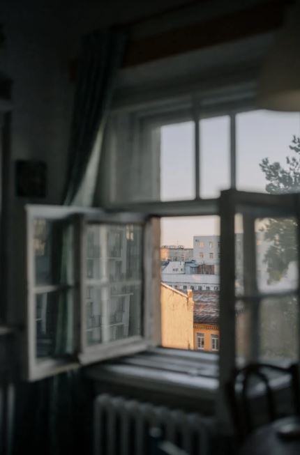 Futon or Pull out Couch