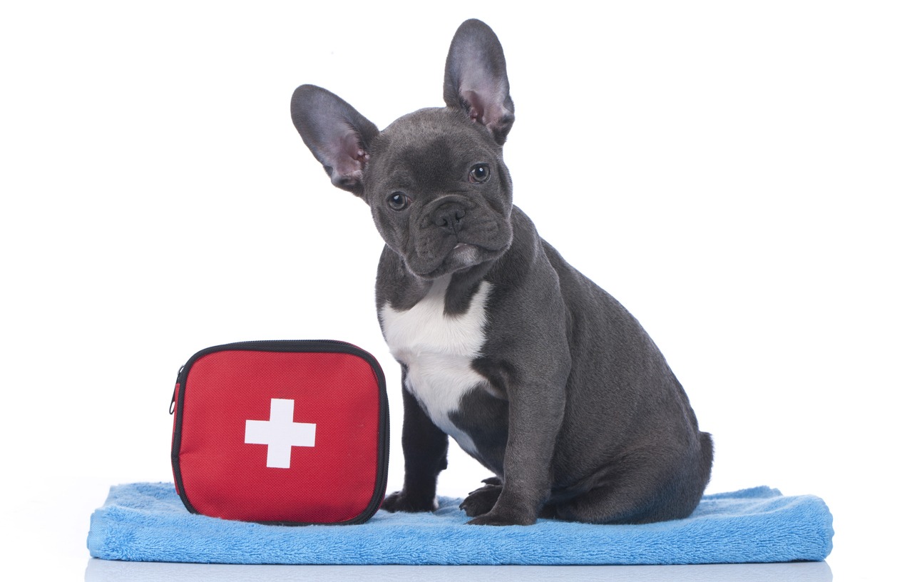 First-Aid Essentials