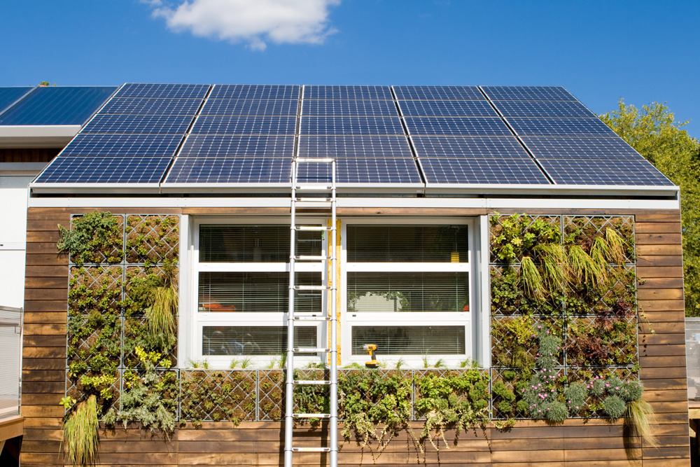 House with photovoltaic solar panels and a plant based gray water recovery system. - See lightbox for more