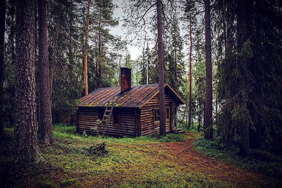 a small log cabin in the middle of the forest