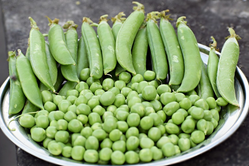 a plate of peas