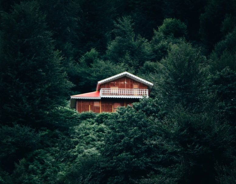 A house in the middle of woods