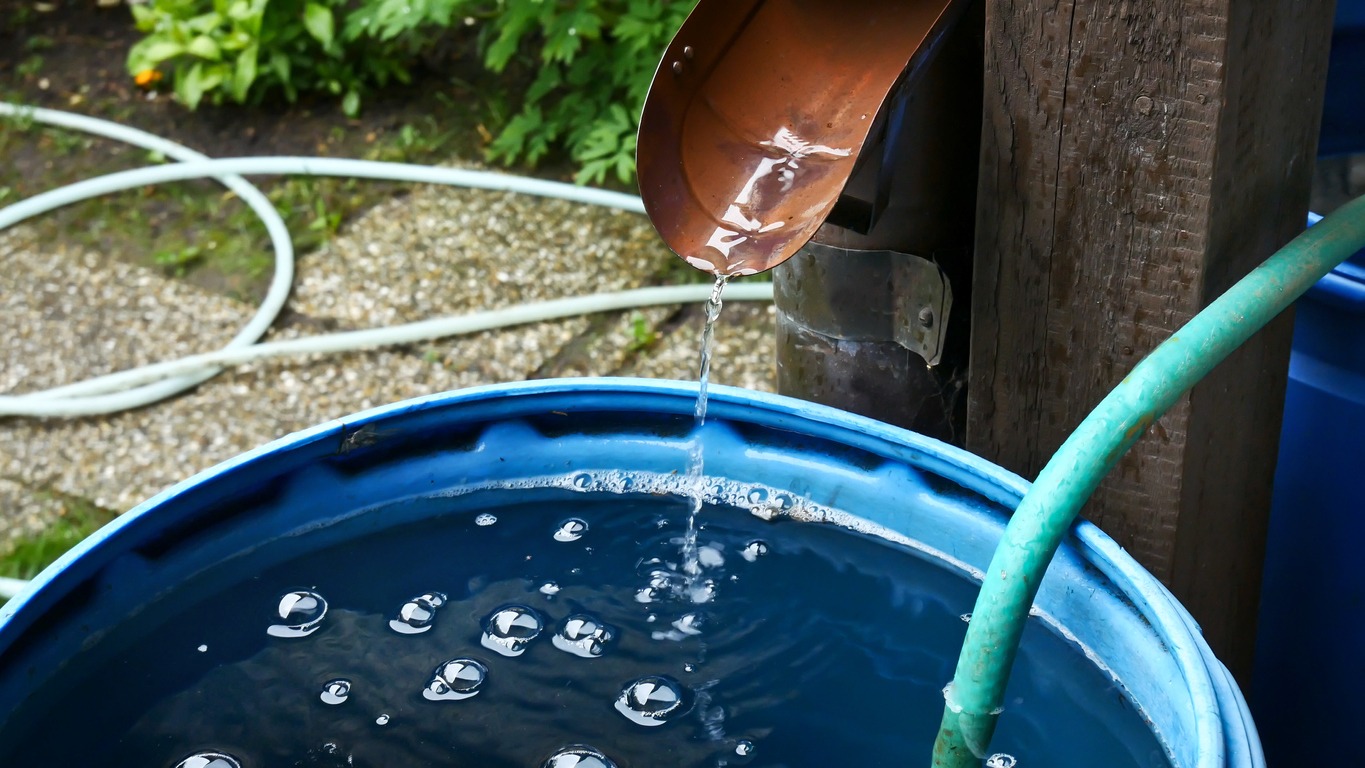rainwater streaming into barrel in the garden