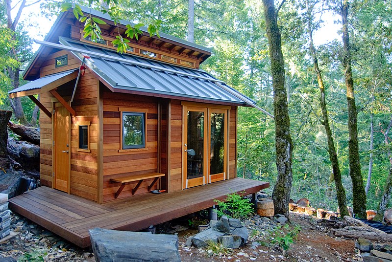 Cabin-inspired tiny home built in the woods
