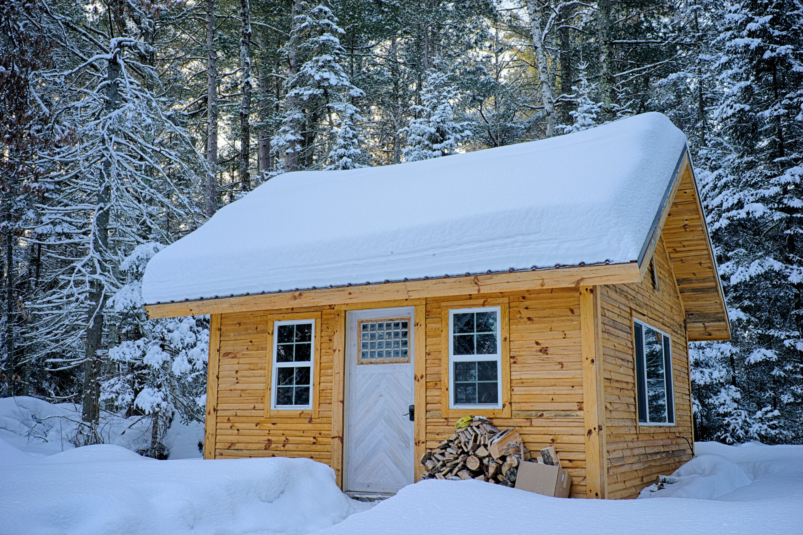 snow-covered wooden house inside the forest