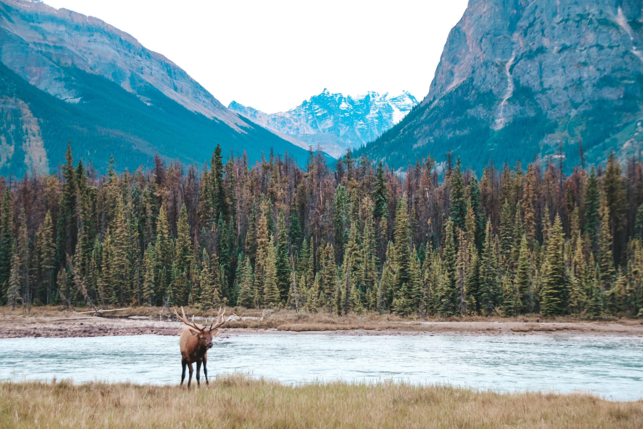 7 Hidden Gems in the Canadian Wilderness You Must Explore