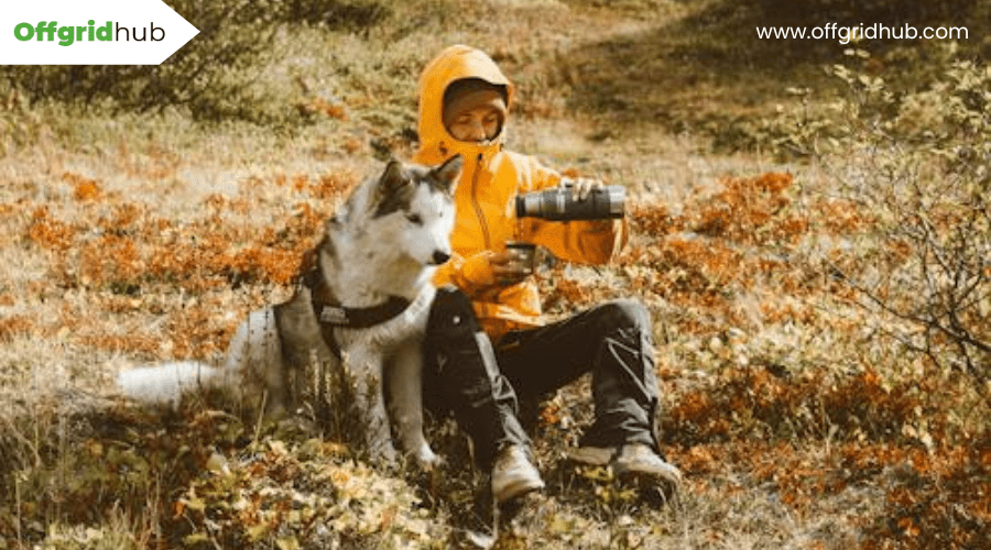 How Can You Ensure Outdoor Safety for Pets in Remote Locations