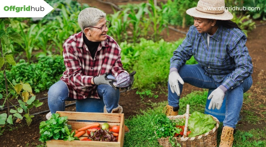 How Can You Manage Gardening and Food Production in Small Spaces?